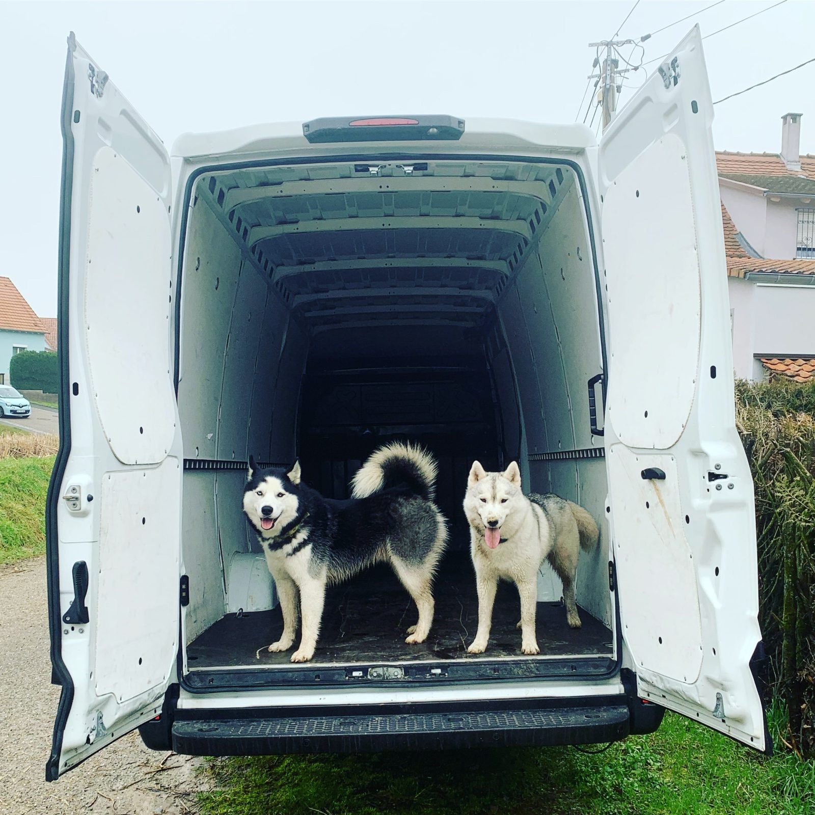Deux huskys qui construisent un van aménagé